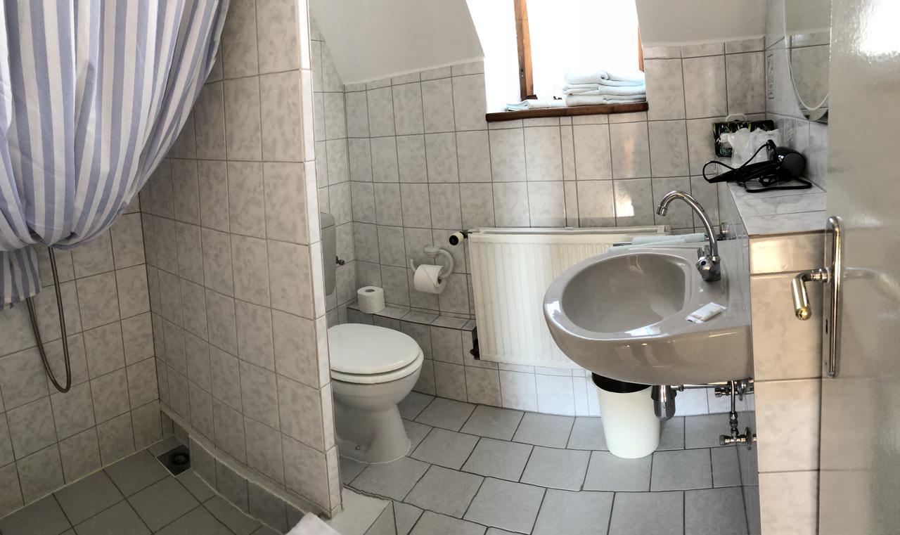 Pension Untere Rauner Muehle Bad Brambach Dış mekan fotoğraf