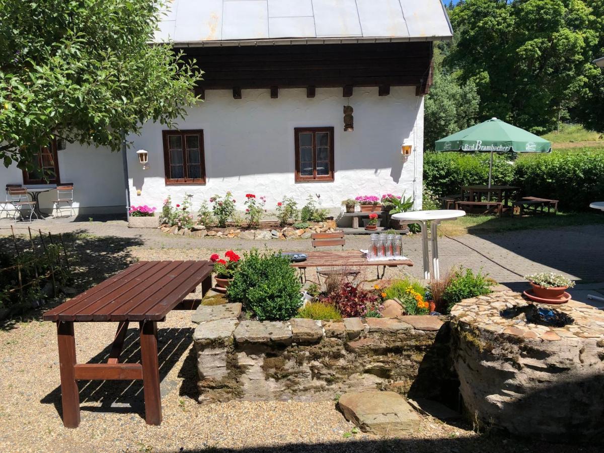 Pension Untere Rauner Muehle Bad Brambach Dış mekan fotoğraf